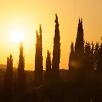 Laselva אלביניה