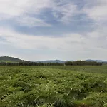Laselva אלביניה