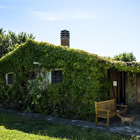 Farm stay Laselva