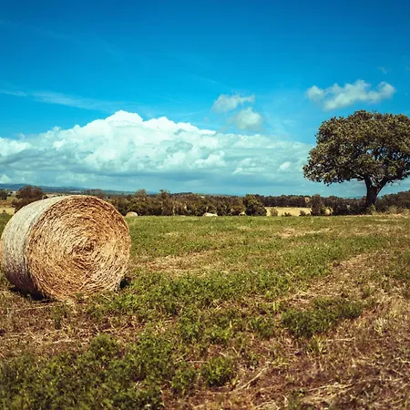 Laselva Gospodarstwo agroturystyczne Albinia