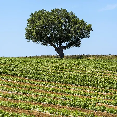 Alloggio per agriturismo Laselva *
