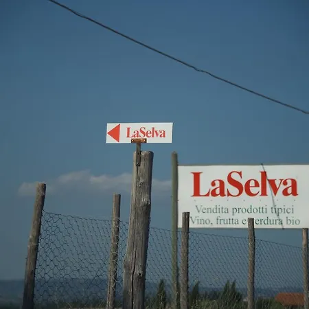 Laselva