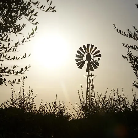 Vakantieboerderij Laselva Albinia