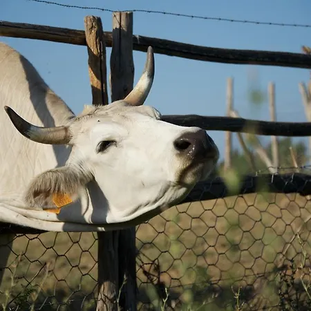 Farmház Laselva