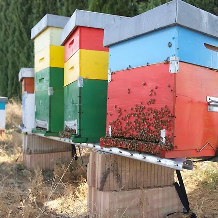 Vakantieboerderij Laselva *