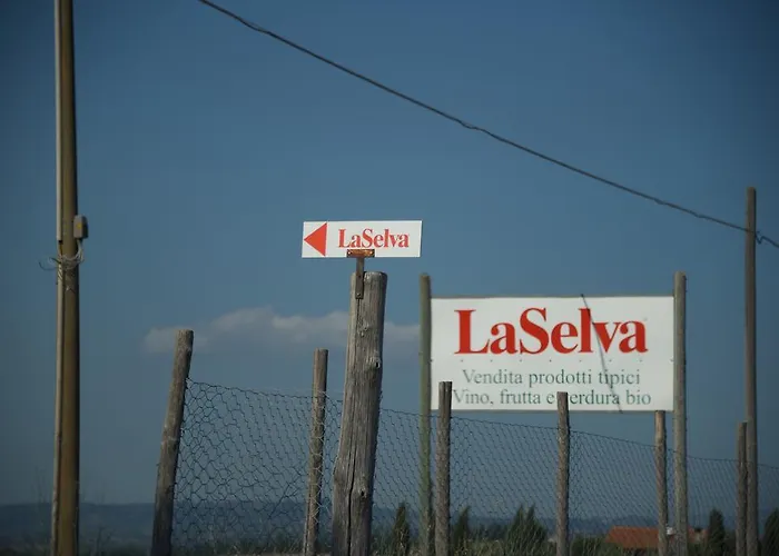 Laselva