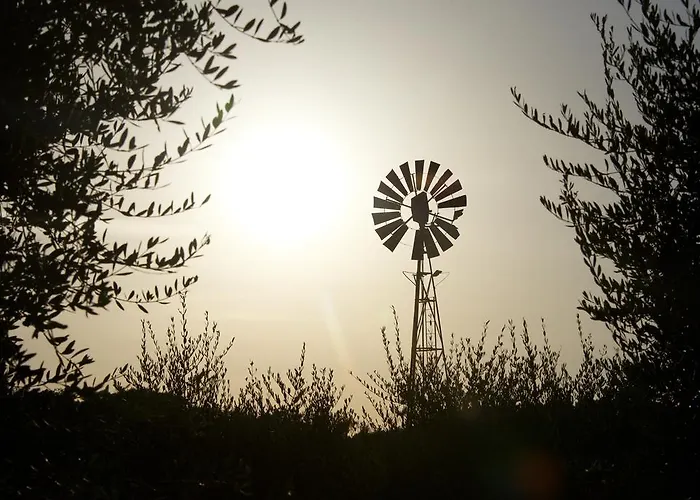 Alojamento de Turismo Rural Laselva Albinia
