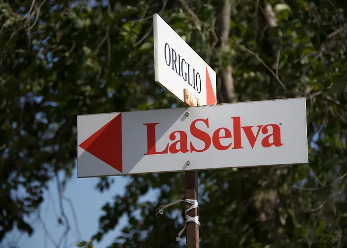 Alojamento de Turismo Rural Laselva